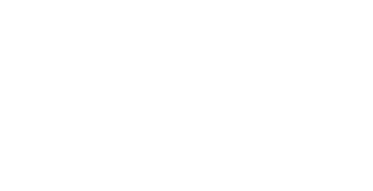 JET SET group